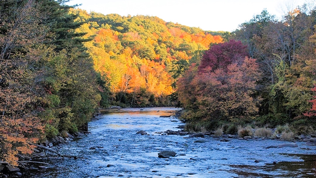 Beautiful fall foliage along the river