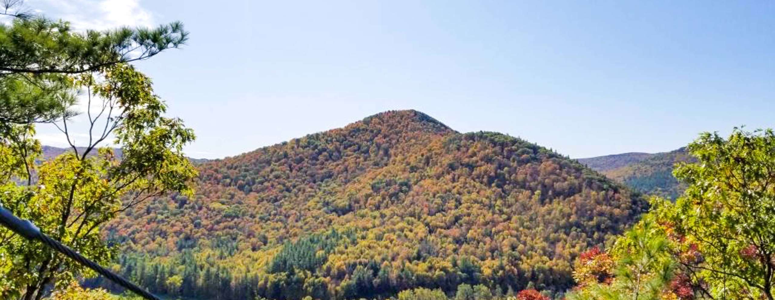 Mountains covered in trees with leaves turning colors