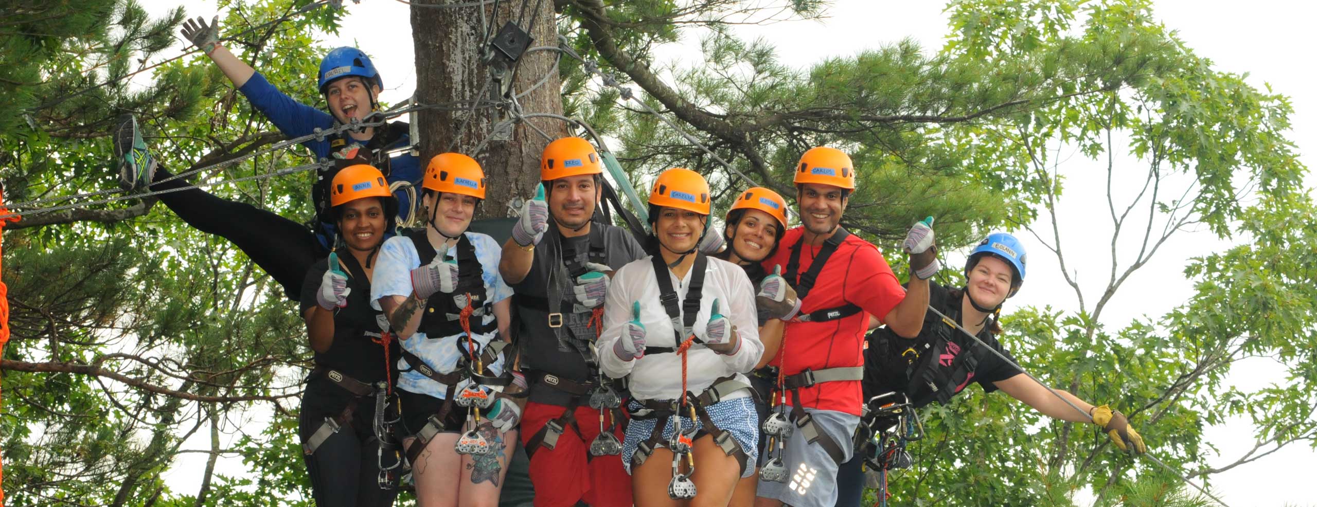 Group of people in zip line gear all standing on a zip line platform high in the trees