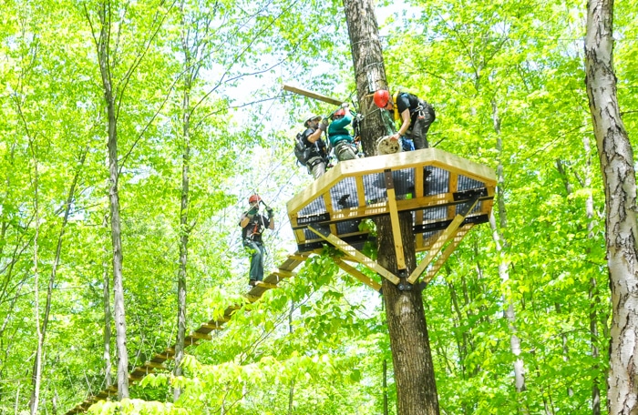 Group of people on a zip line platform high in a tree